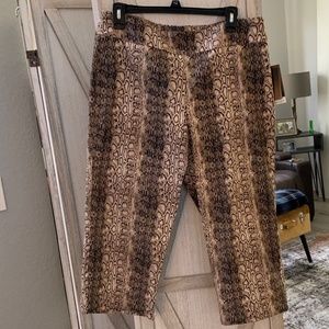 New Animal print  capris